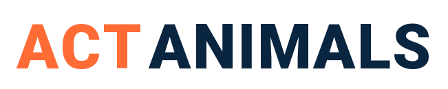 ACTANIMALS